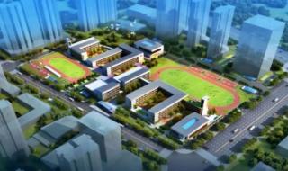 315晚会曝光产品名单有自然堂吗 315打假名单