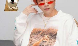 鹿晗上海演唱会嘉宾是谁 鹿晗上海演唱会红发