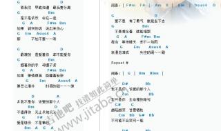 吉他谱怎么看 你要的不是我吉他谱