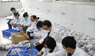 株洲小区什么时候解封通告最新 株洲什么时候解封