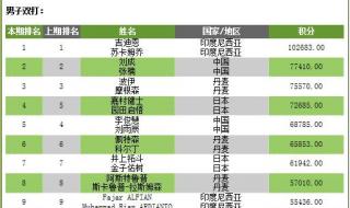 世界羽毛球排名榜 羽毛球拍品牌排名