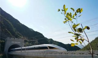 2022年冬季奥运会的吉祥物是谁 请你为办好2020年冬奥会建言献策